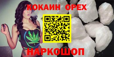 spice Новодвинск