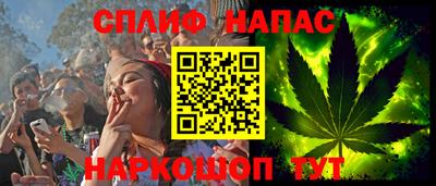 тгк Новозыбков