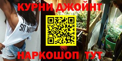 стаф Новокубанск