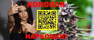 тгк Новозыбков
