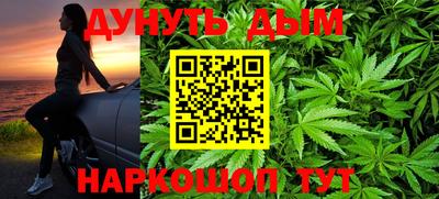 тгк Новозыбков