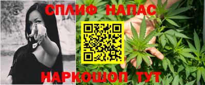 тгк Новозыбков