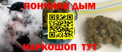 стаф Новокубанск