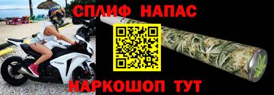 spice Новодвинск