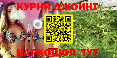 spice Новодвинск