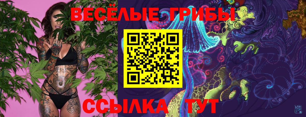 Псилоцибиновые грибы Cubensis  Галлюциногенные грибы GOLDEN TEACHER  дарнет шоп  Вход с VPN  Ступино 